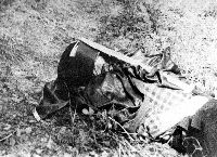  Имя файла: CRW_0191.jpg (Last modified: 2012-11-17 03:39:29) 2195x1597, 1617 KB .