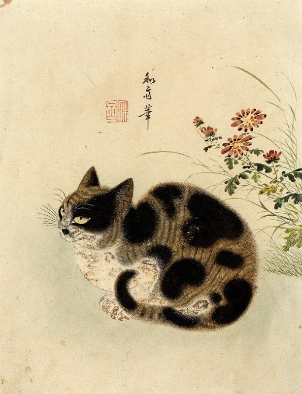 Кошачье племя